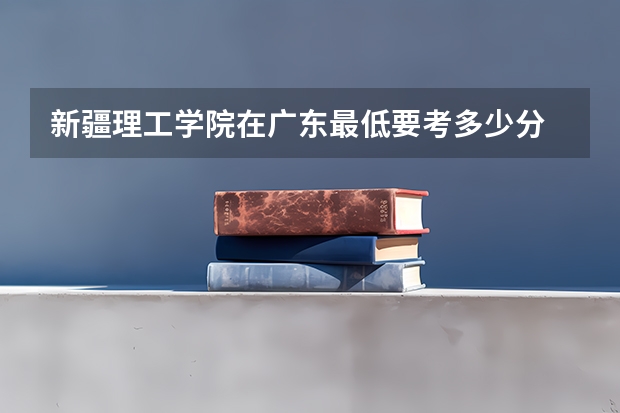 新疆理工学院在广东最低要考多少分