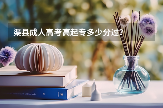 渠县成人高考高起专多少分过？