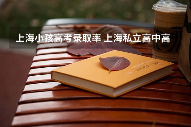 上海小孩高考录取率 上海私立高中高考录取率?