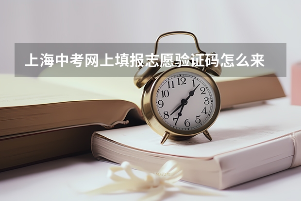 上海中考网上填报志愿验证码怎么来