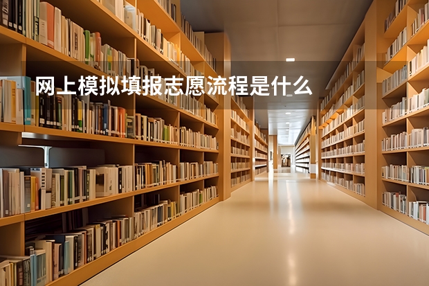 网上模拟填报志愿流程是什么