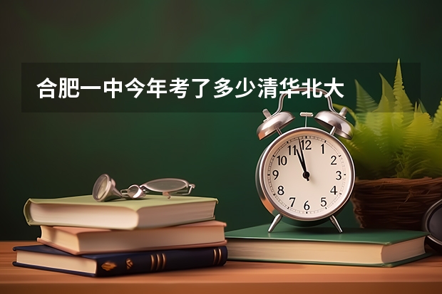 合肥一中今年考了多少清华北大