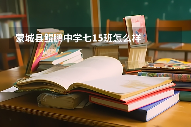 蒙城县鲲鹏中学七15班怎么样