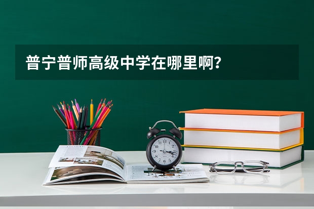 普宁普师高级中学在哪里啊？