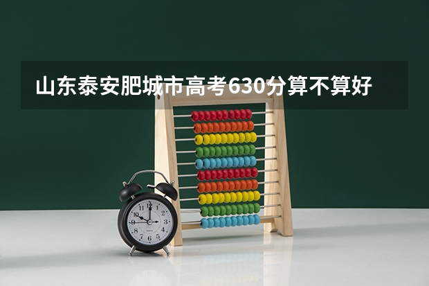 山东泰安肥城市高考630分算不算好？能上什么学校？650分呢？