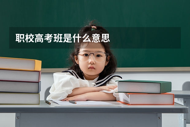 职校高考班是什么意思