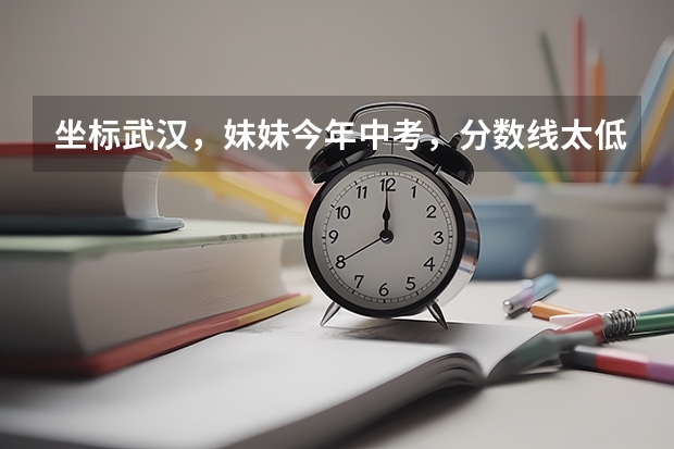 坐标武汉,妹妹今年中考,分数线太低,中职线都没过,有什么学校可以读吗?