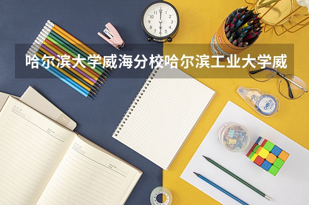 哈尔滨大学威海分校哈尔滨工业大学威海分校 哈尔滨工程大学和哈尔滨理工大学，谁的综合实力更强？