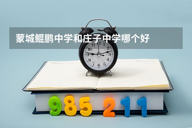 蒙城鲲鹏中学和庄子中学哪个好