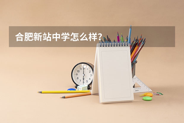 合肥新站中学怎么样？