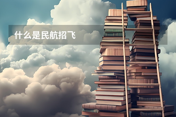 什么是民航招飞
