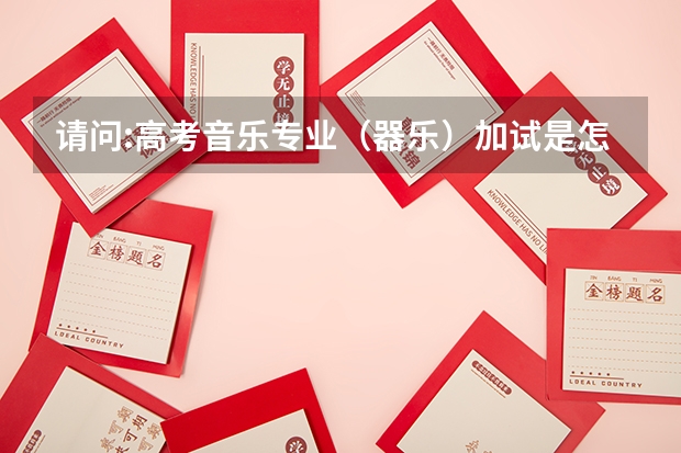 请问:高考音乐专业（器乐）加试是怎么回事?