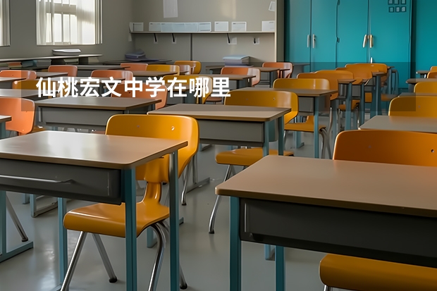 仙桃宏文中学在哪里
