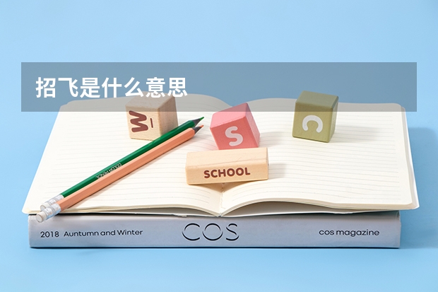 招飞是什么意思