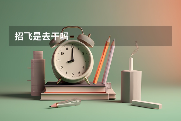 招飞是去干吗