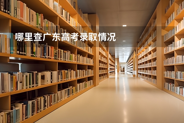 哪里查广东高考录取情况