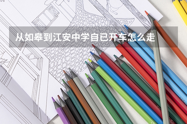 从如皋到江安中学自已开车怎么走
