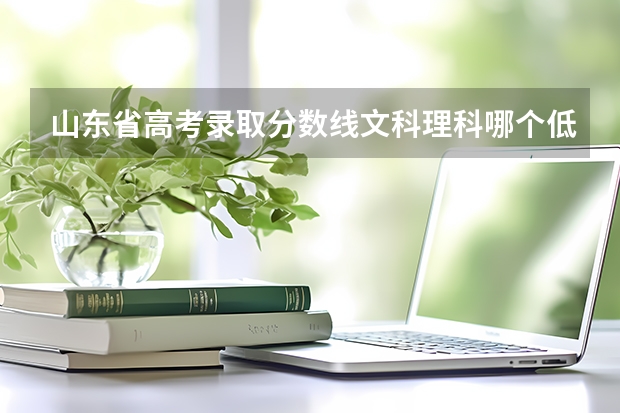 山东省高考录取分数线文科理科哪个低