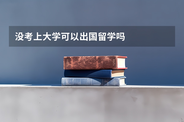 没考上大学可以出国留学吗