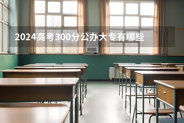 2024高考300分公办大专有哪些学校