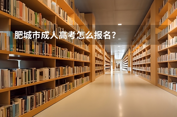肥城市成人高考怎么报名？