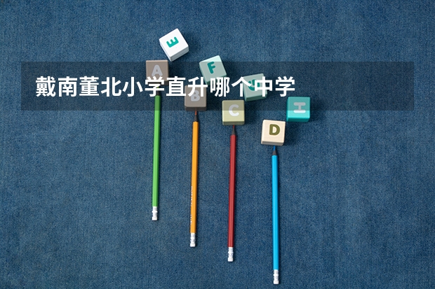 戴南董北小学直升哪个中学