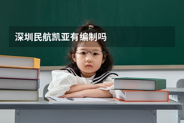深圳民航凯亚有编制吗