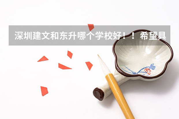 深圳建文和东升哪个学校好！！希望具体