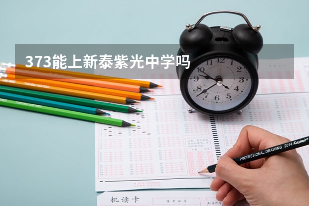 373能上新泰紫光中学吗