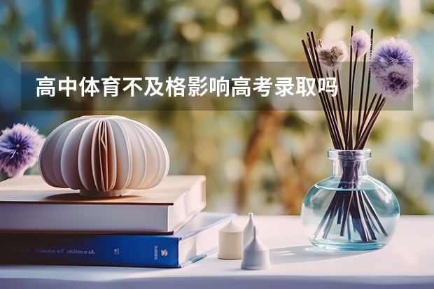 高中体育不及格影响高考录取吗