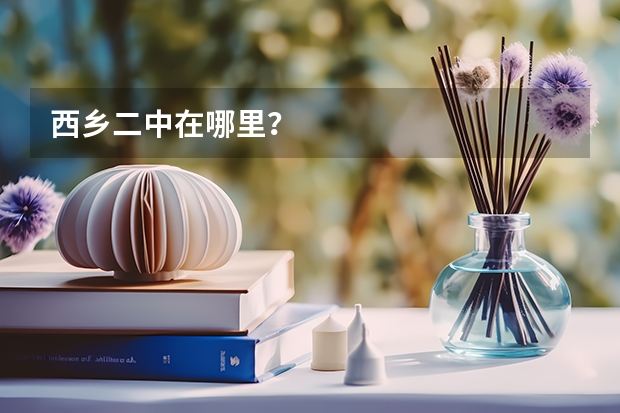 西乡二中在哪里？