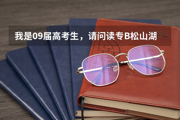 我是09届高考生，请问读专B松山湖职业学院好还是城市学院好？（东莞一中升学率排名）