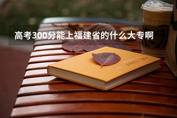 高考300分能上福建省的什么大专啊