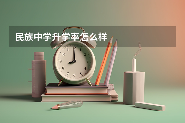 民族中学升学率怎么样