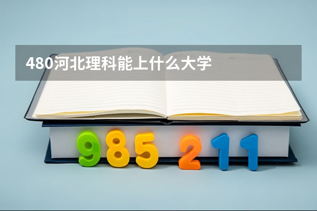 480河北理科能上什么大学