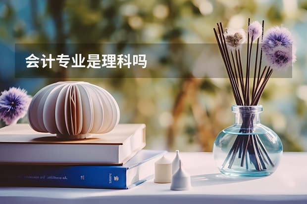 会计专业是理科吗